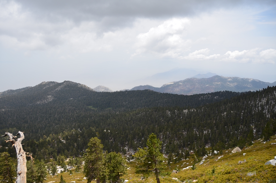 DSC_6795.JPG
