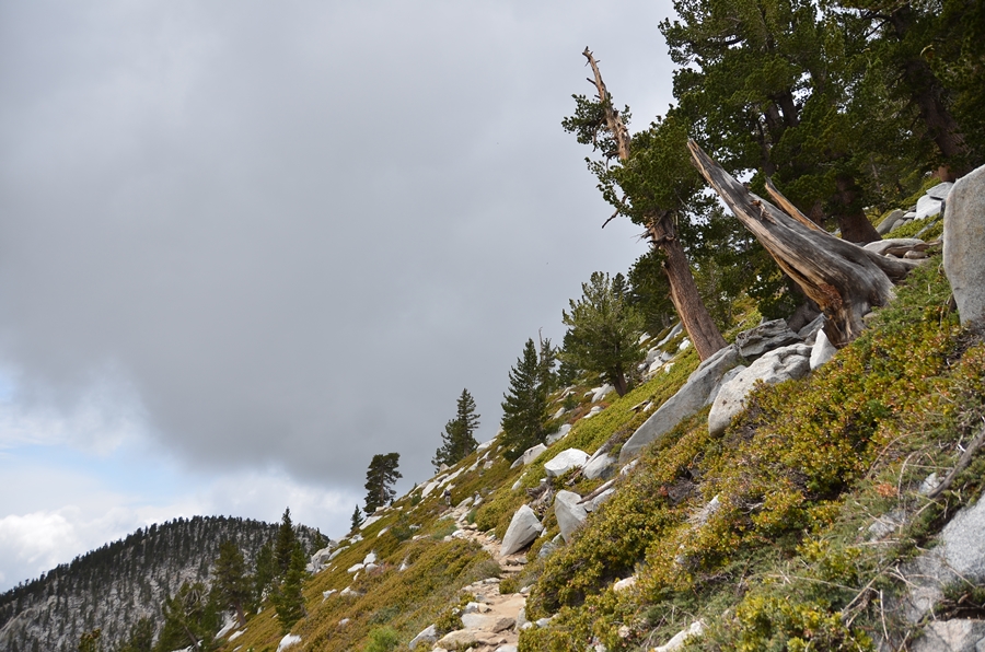 DSC_6794.JPG