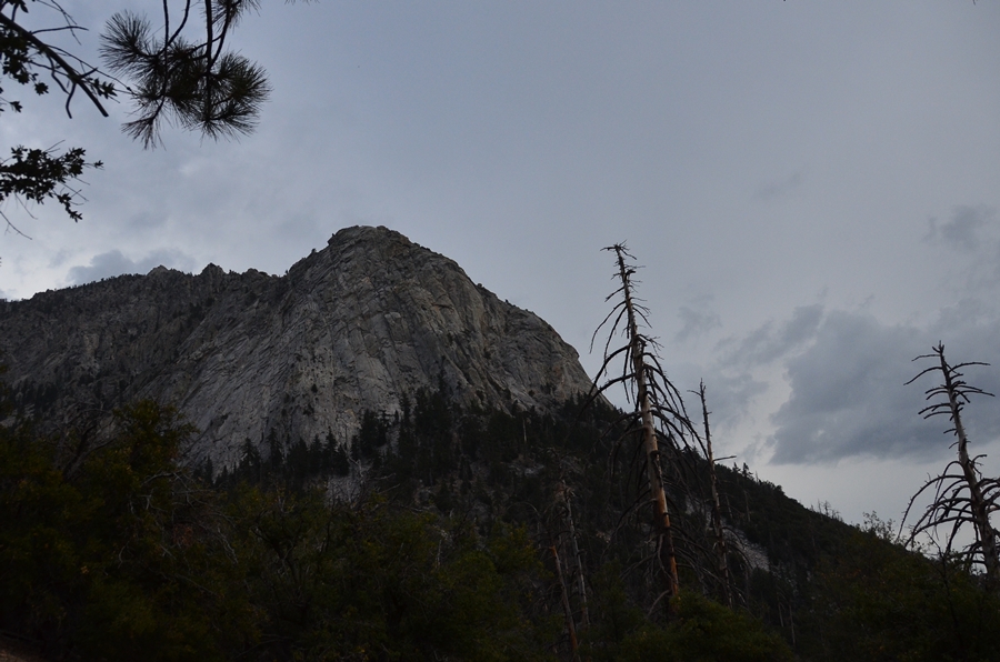 DSC_6889.JPG
