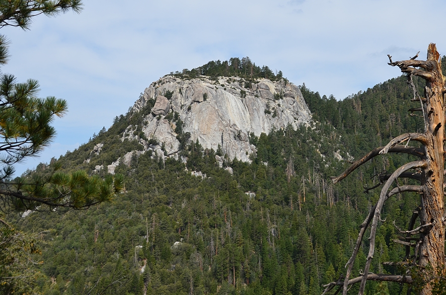 DSC_6712.JPG
