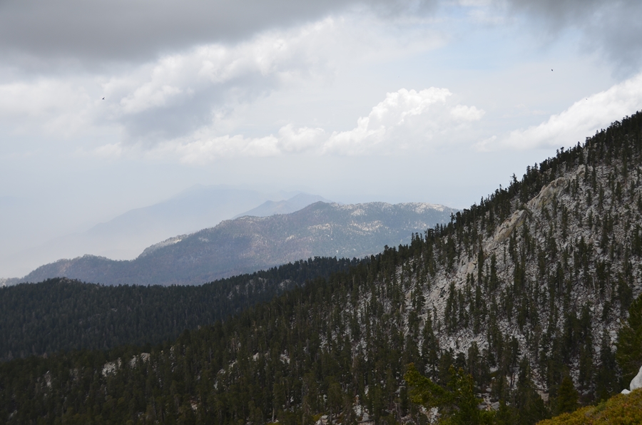 DSC_6804.JPG