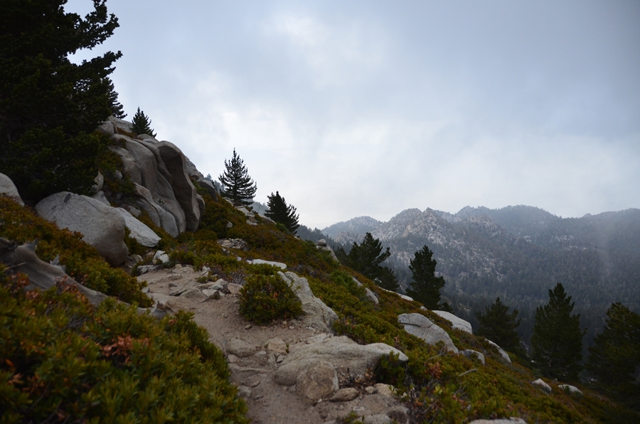 DSC_6839.JPG