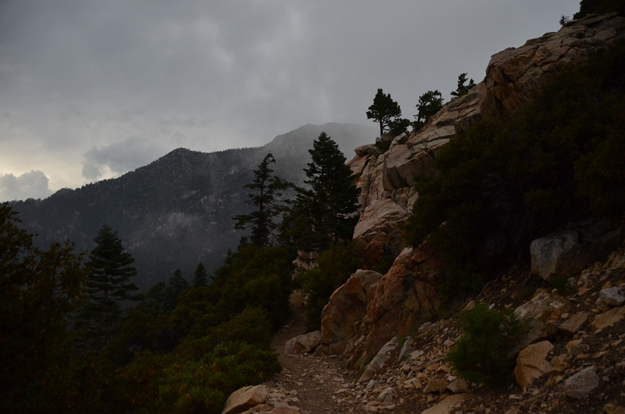 DSC_6876.JPG
