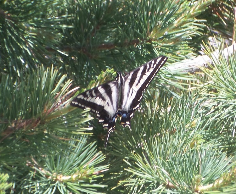 20160626_122413.jpg