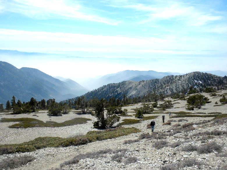 Baldy21614 033.JPG