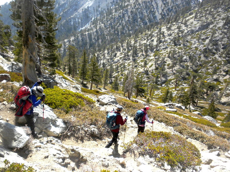 Baldy21614 048.JPG
