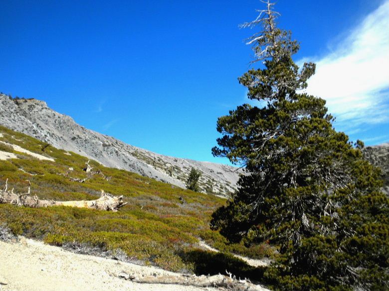 Baldy21614 025.JPG