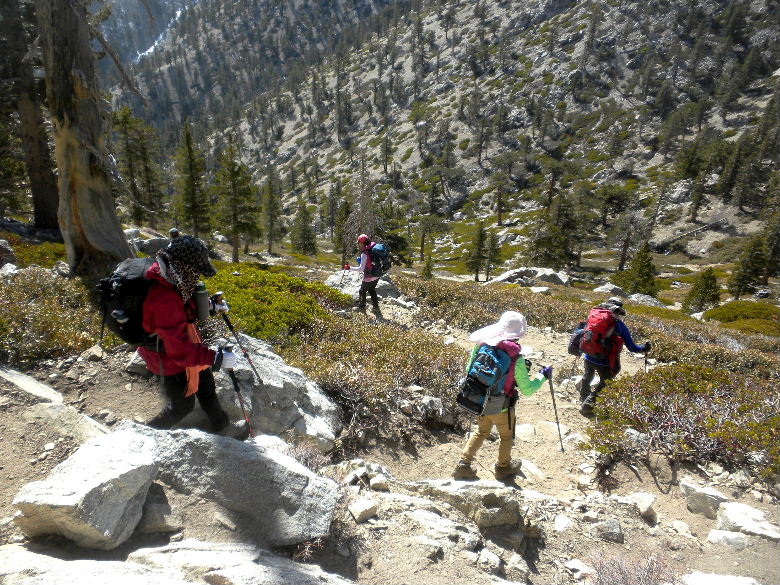 Baldy21614 049.JPG