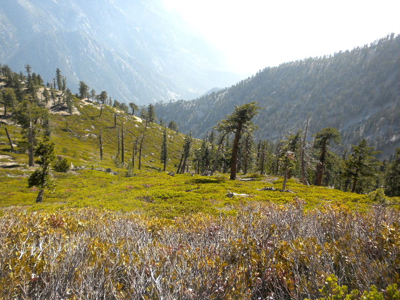 Baldy21614 056.JPG