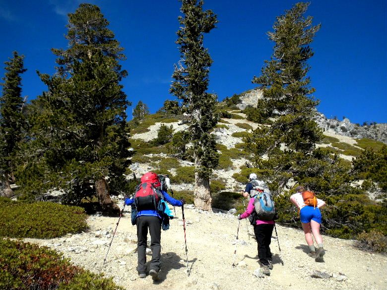Baldy21614 026.JPG
