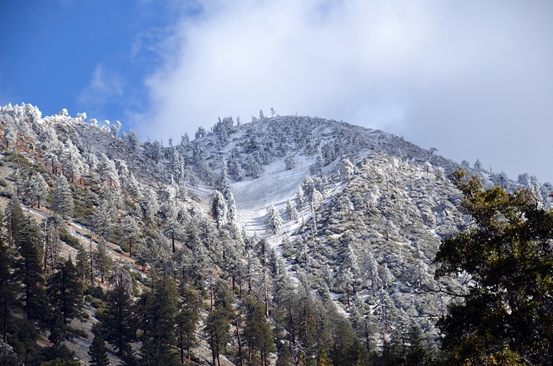 DSC_0052.JPG
