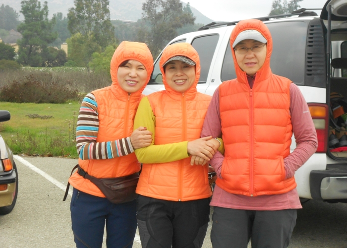 mt. 023.jpg