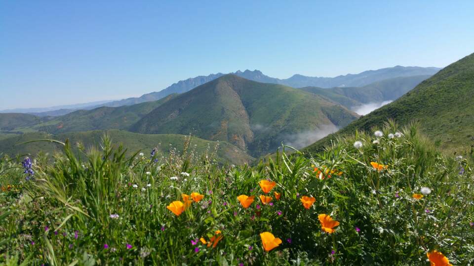 KakaoTalk_20170312_165924483.jpg