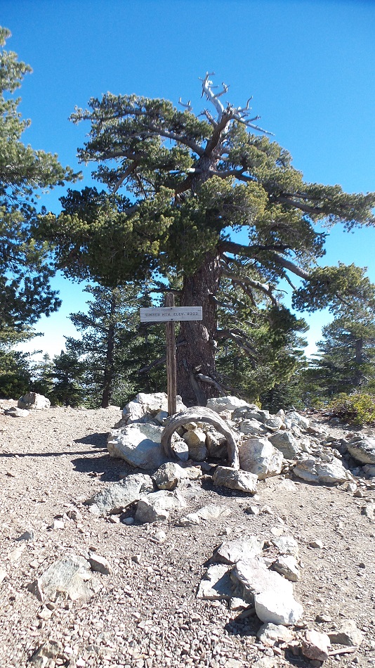 N3.jpg