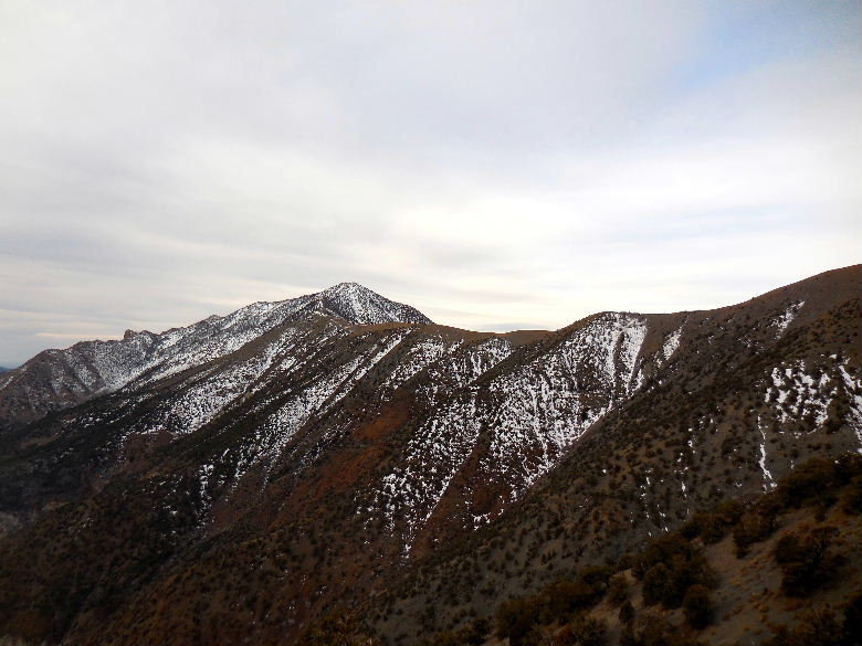 telescopepeak315 060.JPG