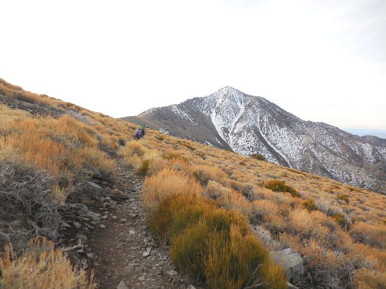 telescopepeak315 084.JPG