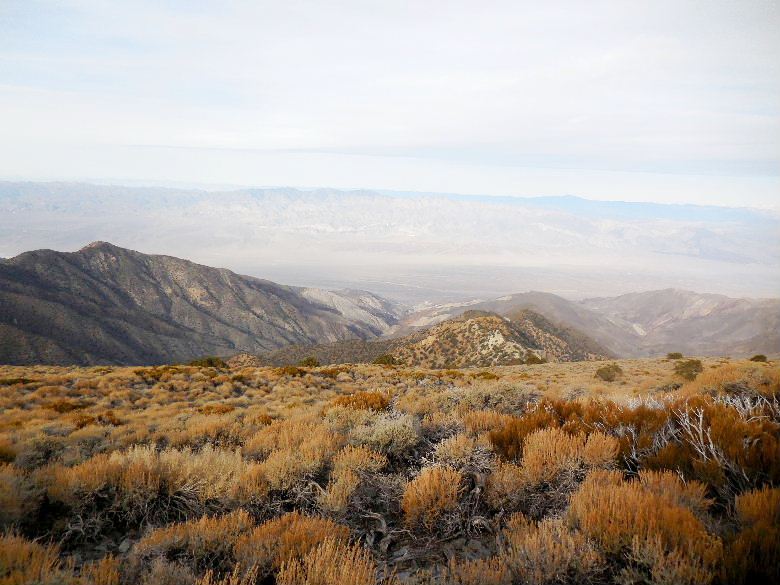 telescopepeak315 083.JPG