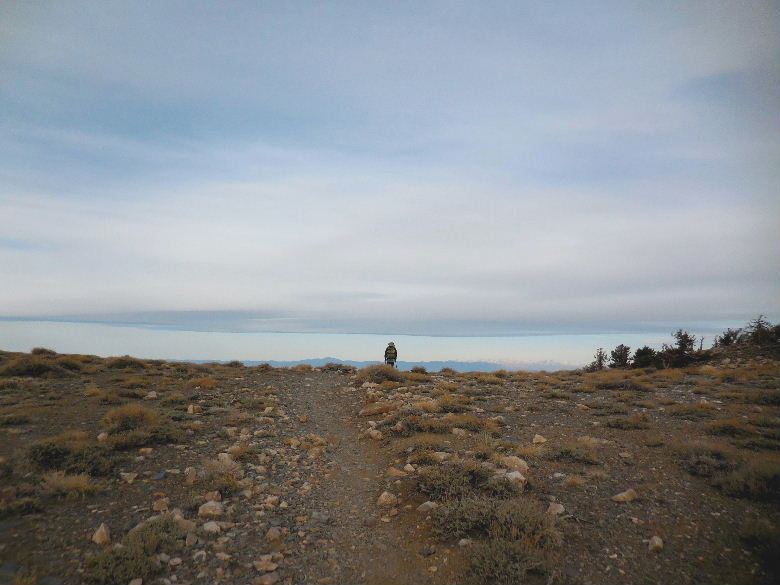 telescopepeak315 065.JPG