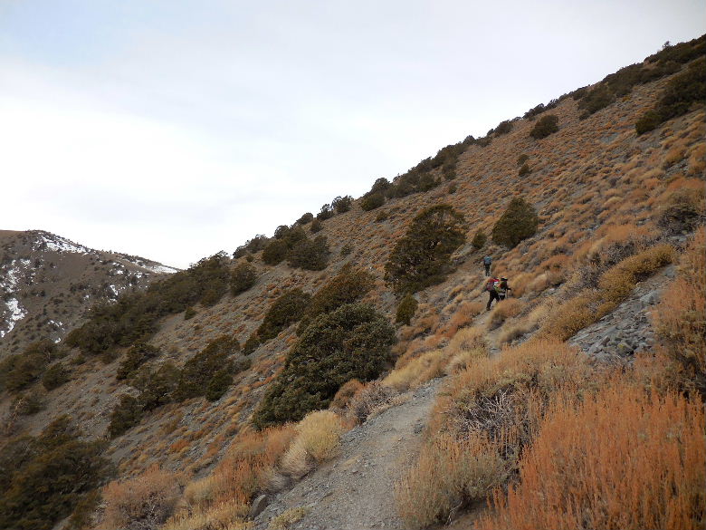 telescopepeak315 059.JPG