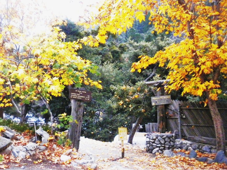 3t102112 002.JPG