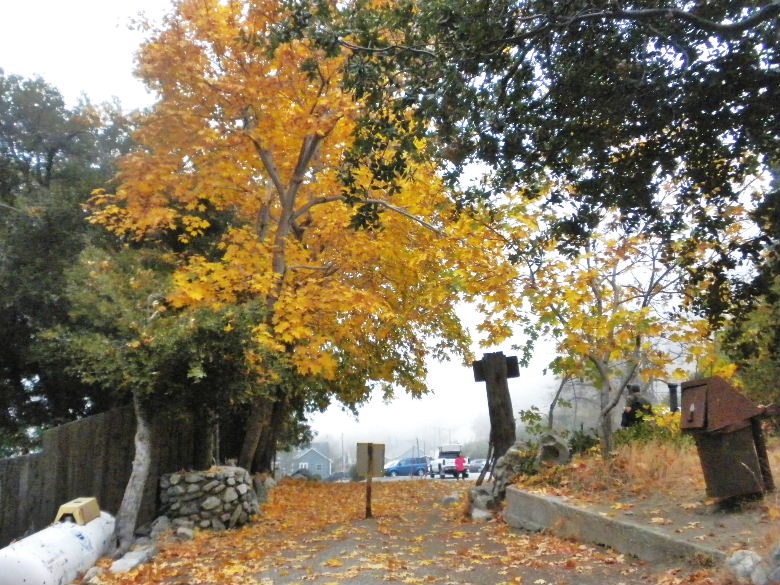 3t102112 110.JPG