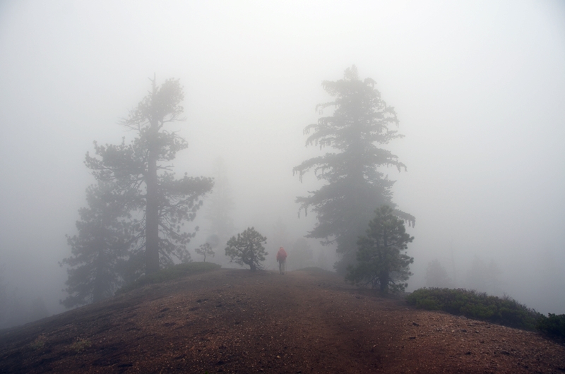 DSC_7073.JPG