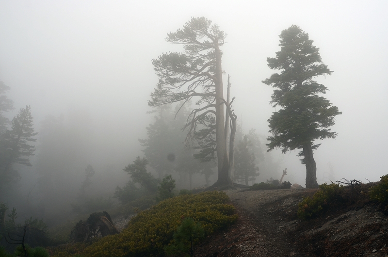 DSC_7076.JPG