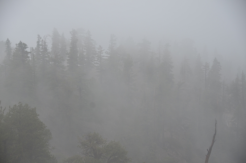 DSC_7094.JPG