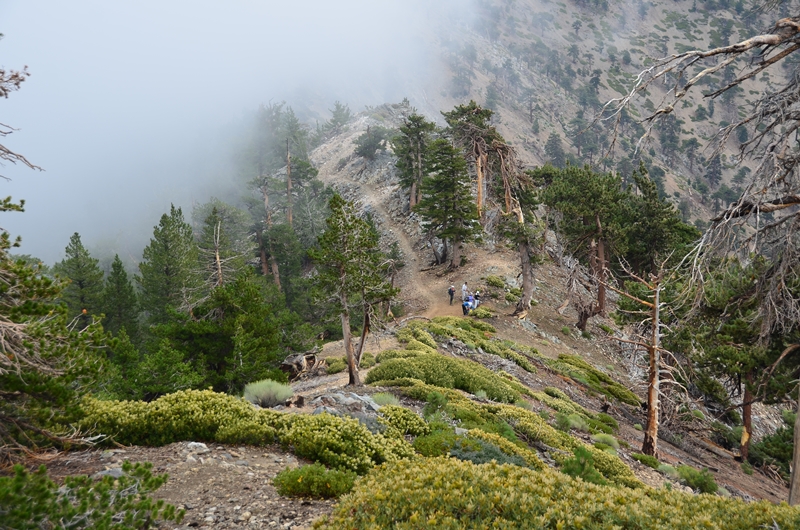 DSC_7197.JPG