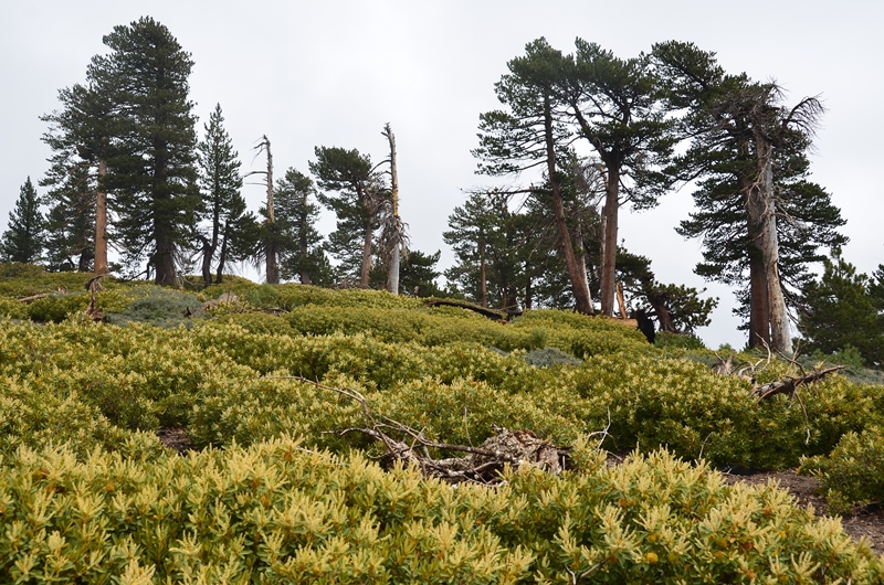 DSC_7174.JPG