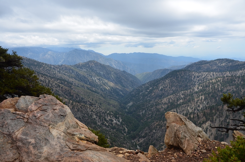 DSC_7155.JPG