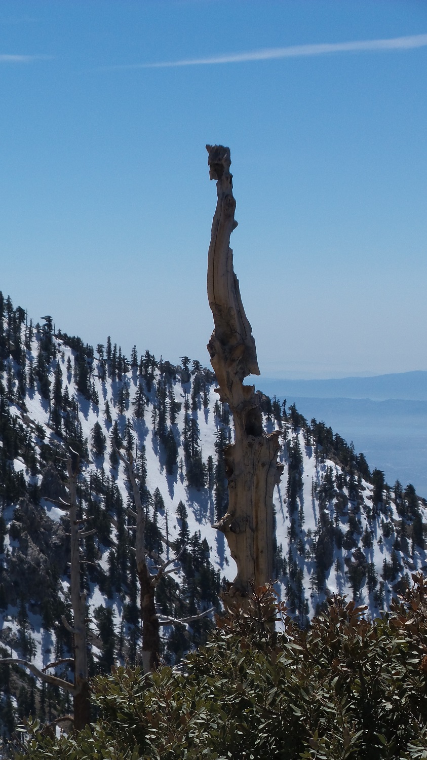 20170319_115524.jpg