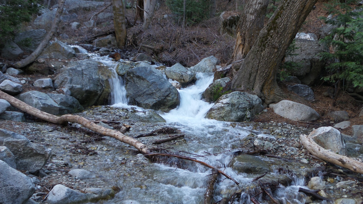 20170319_082621.jpg