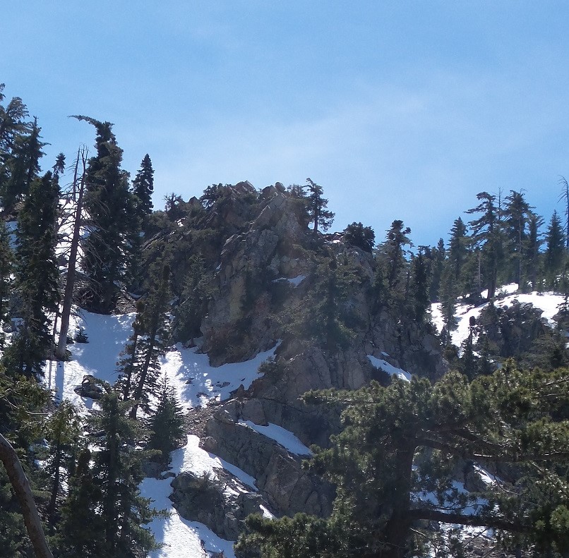 20170319_131148.jpg