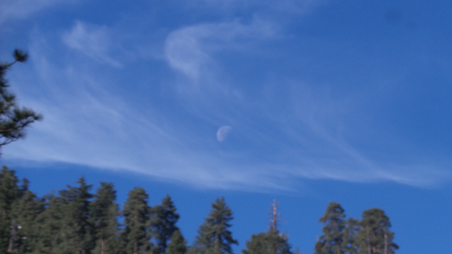 20170319_091938.jpg