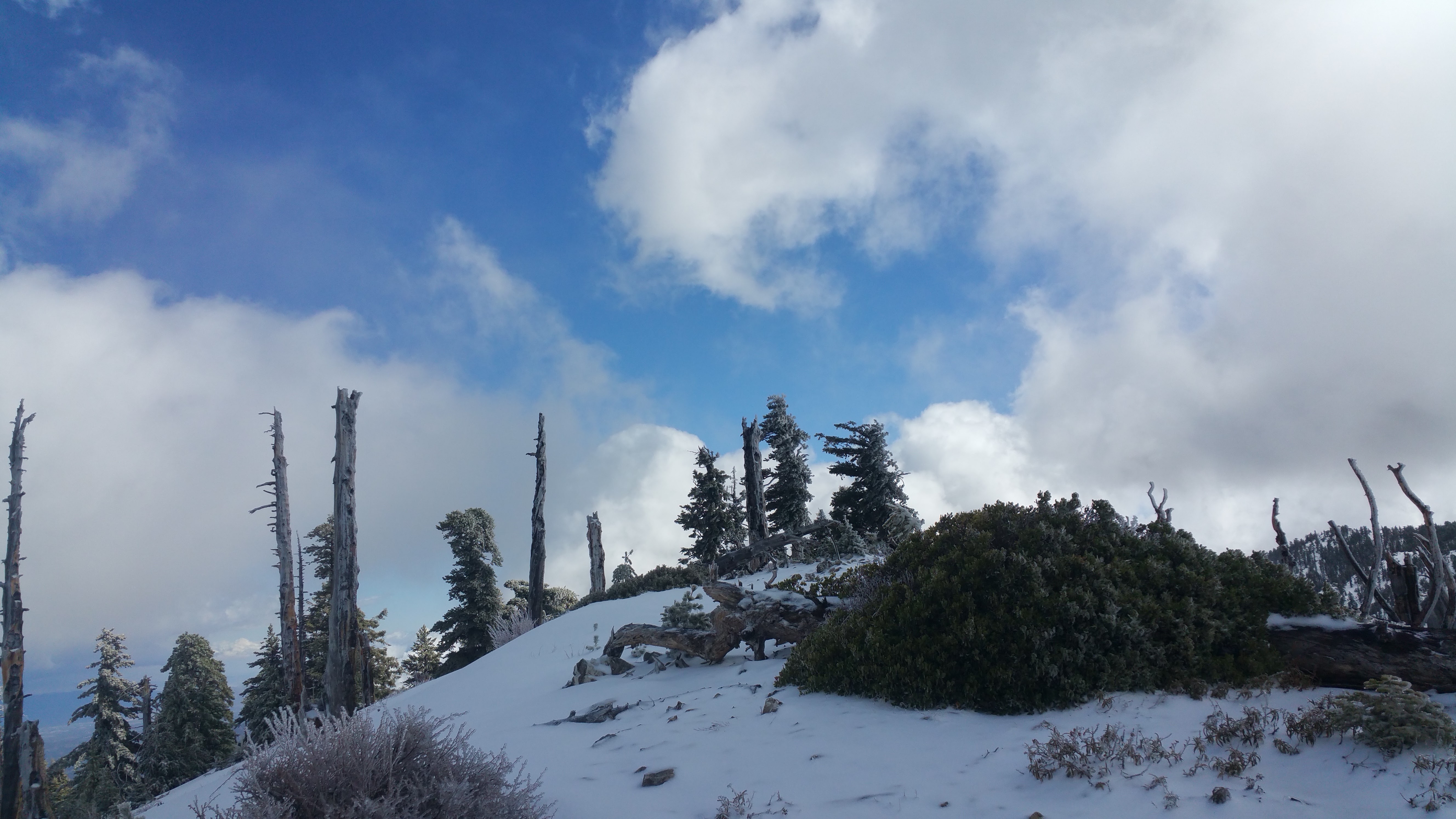20160306_114309.jpg