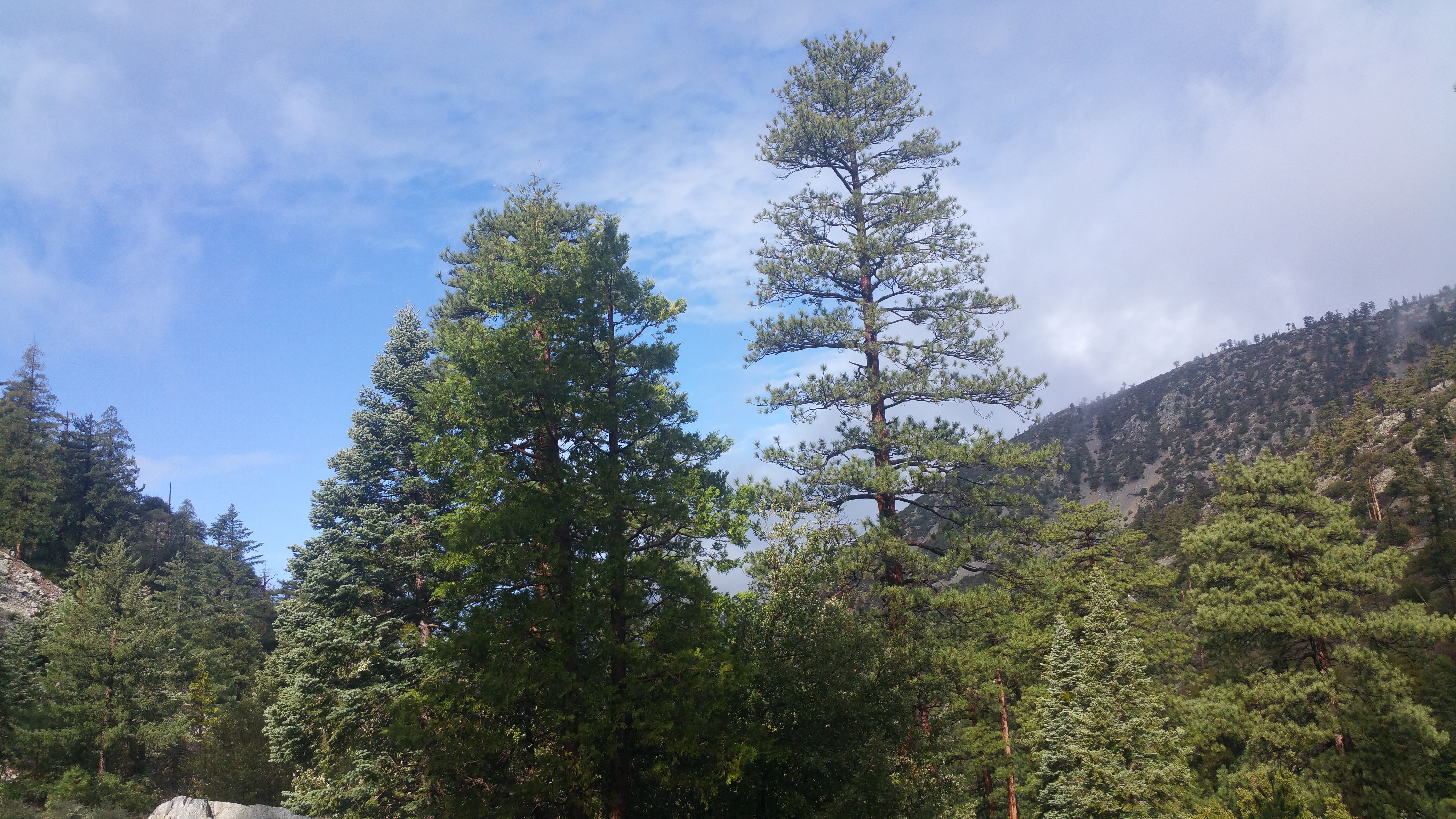 20160306_091211.jpg
