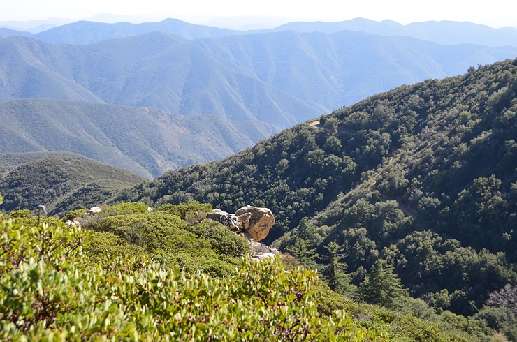 DSC_0269a.jpg