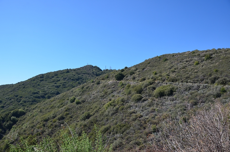 DSC_0220b.jpg
