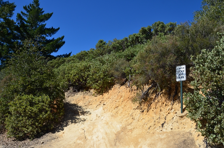 DSC_0205n.jpg