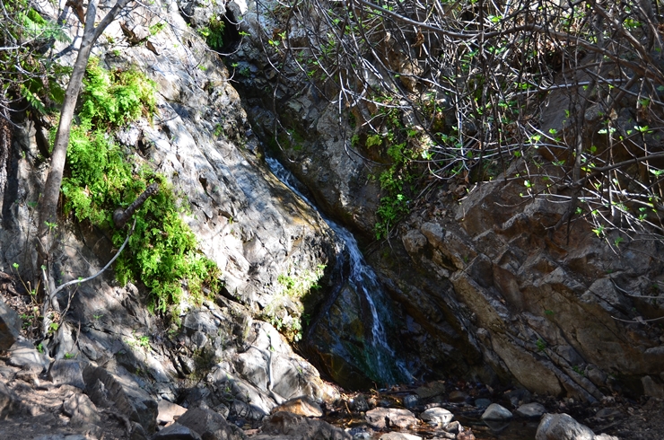 DSC_0165c.jpg