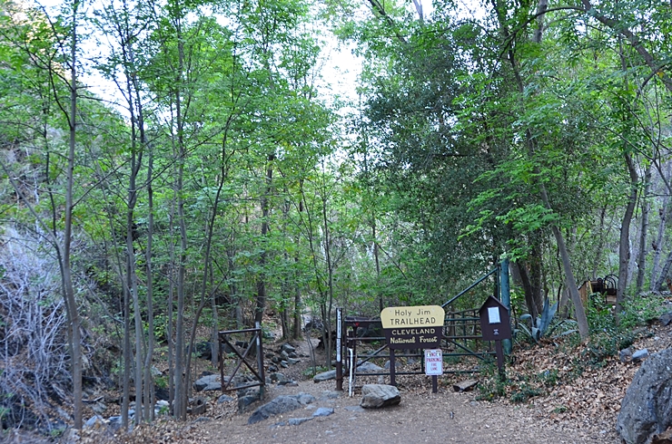 DSC_0132m.jpg