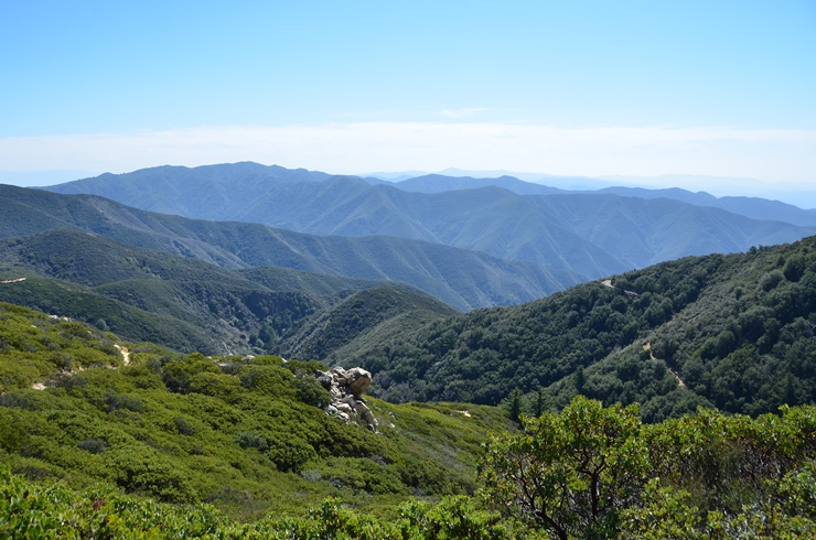 DSC_0216m.jpg