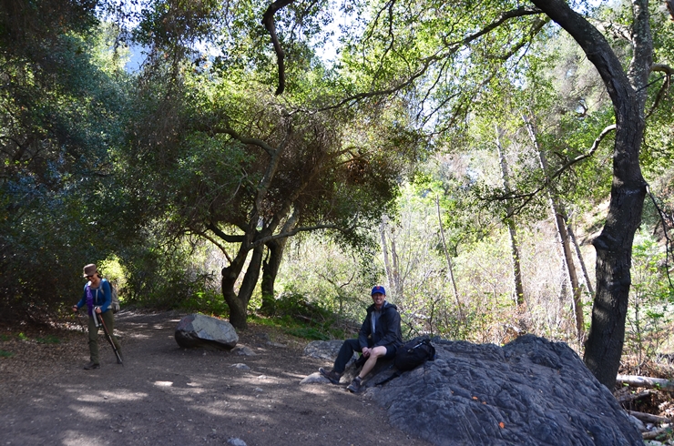 DSC_0149c.jpg
