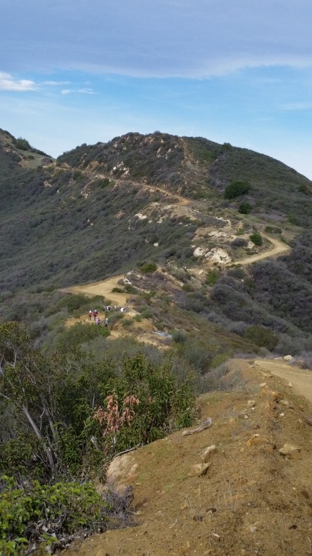 10 (450x800).jpg
