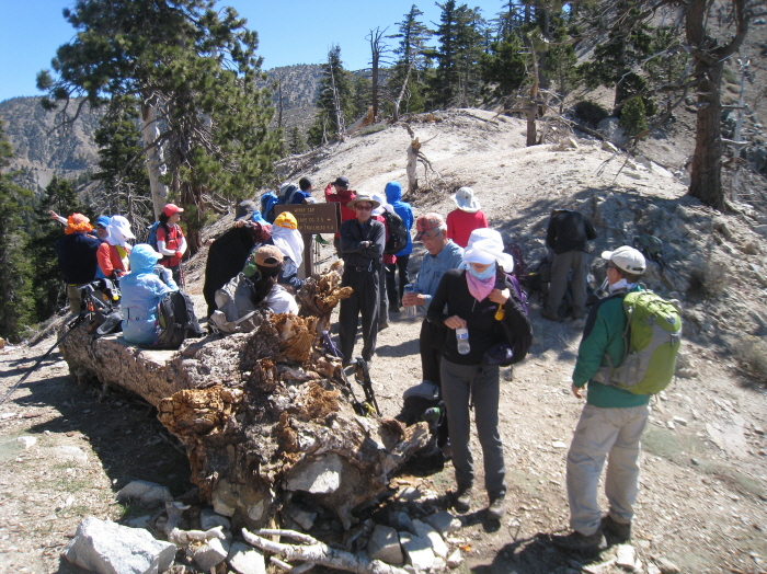 kaacTaquizTaquizMt. hawkins 071.jpg