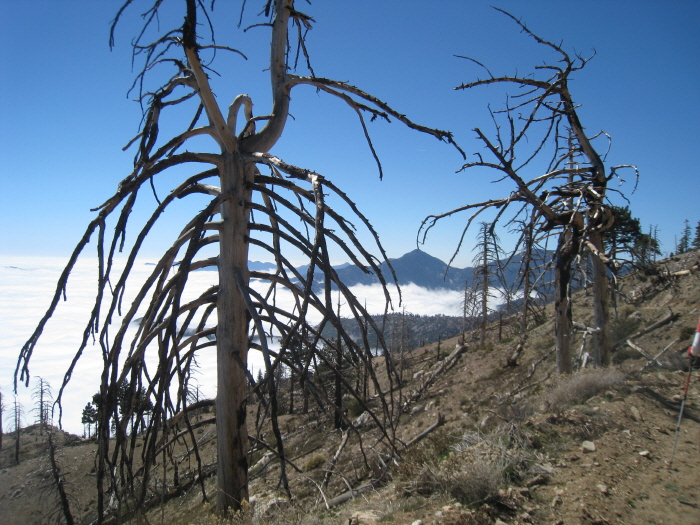 kaacTaquizMt. hawkins 106.jpg