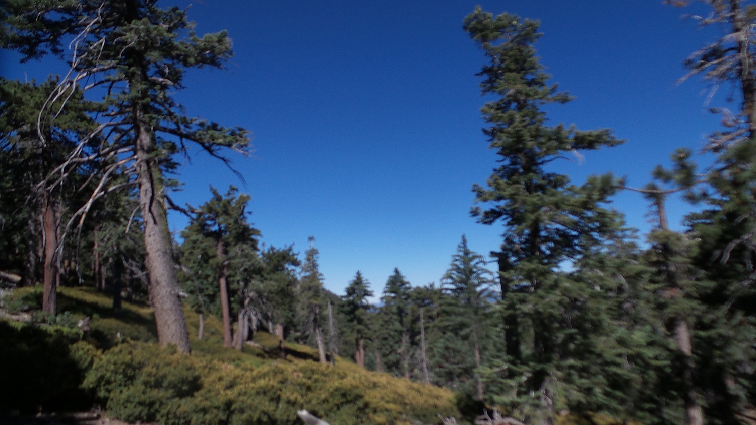 20160718_093858.jpg