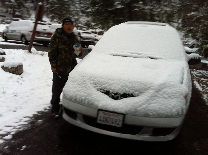 Sequoia NP 044-001.jpg
