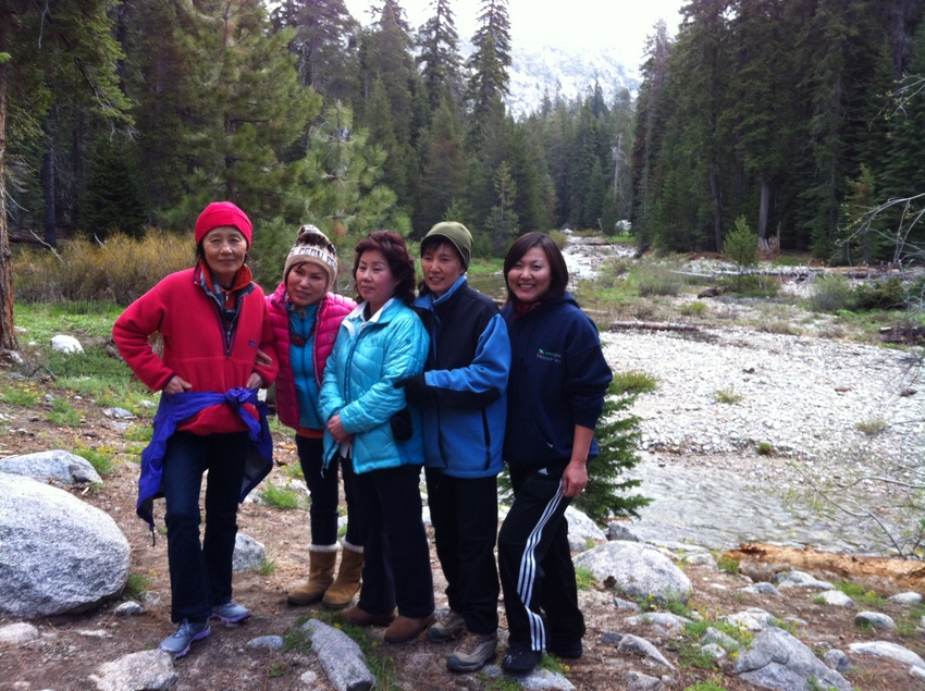 Sequoia NP 057-001.jpg